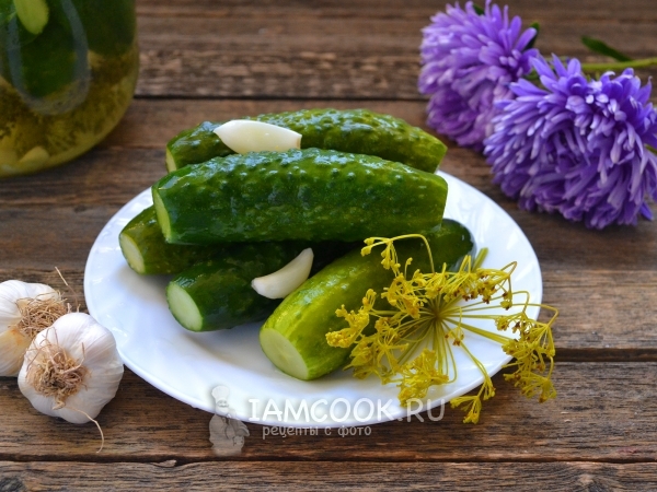Малосольные огурцы с чесноком и укропом, рецепт с фото