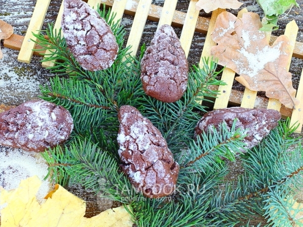 Шоколадное печенье «Шишки», рецепт с фото