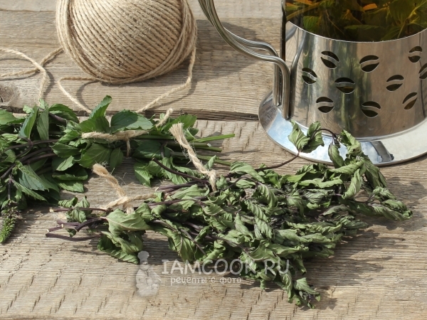 Сушка мяты, рецепт с фото