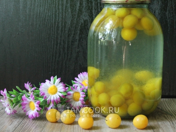 Компот из алычи на зиму, рецепт с фото