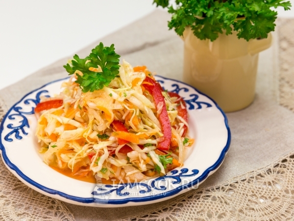 Капустный салат с маринадом, рецепт с фото