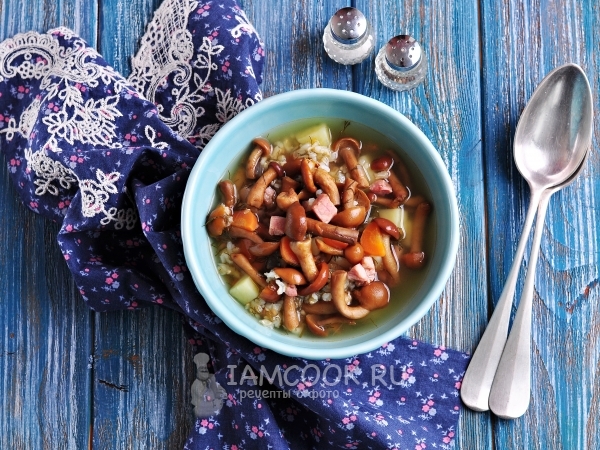 Суп грибной из замороженных опят, рецепт с фото