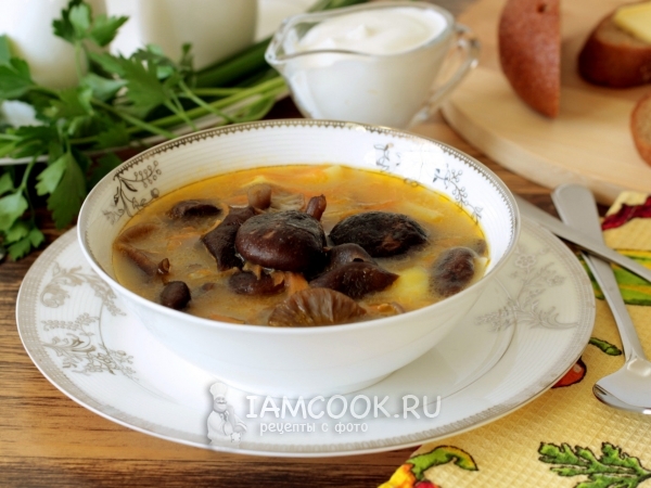 Грибной суп из замороженных опят, рецепт с фото