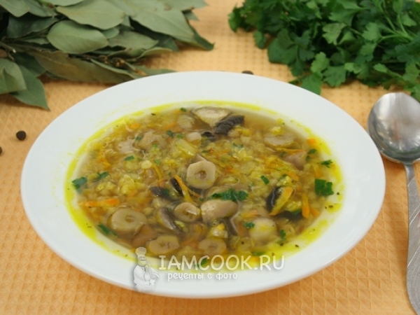 Суп с чечевицей и грибами, рецепт с фото