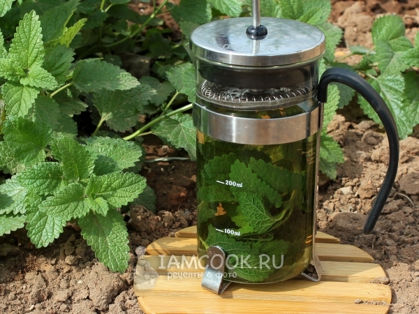 Заморозка мяты, рецепт с фото