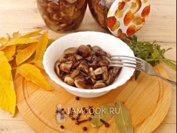Маринованные опята на зиму, рецепт с фото