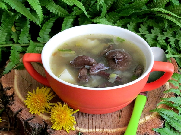 Постный грибной суп из замороженных грибов, рецепт с фото