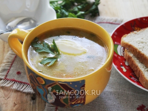 Грибной суп из свежих грибов, рецепт с фото