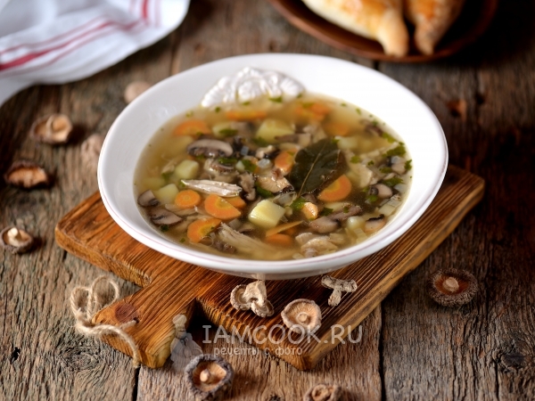 Грибной суп на курином бульоне, рецепт с фото