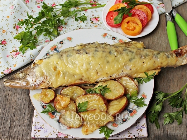 Судак целиком с картошкой в духовке, рецепт с фото