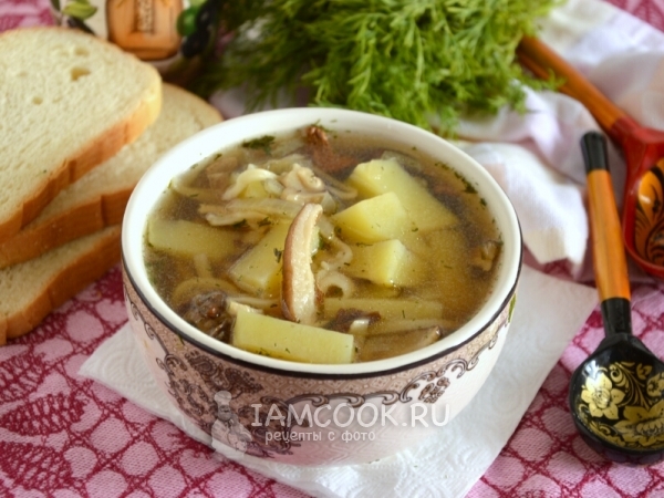 Суп из сушеных белых грибов, рецепт с фото