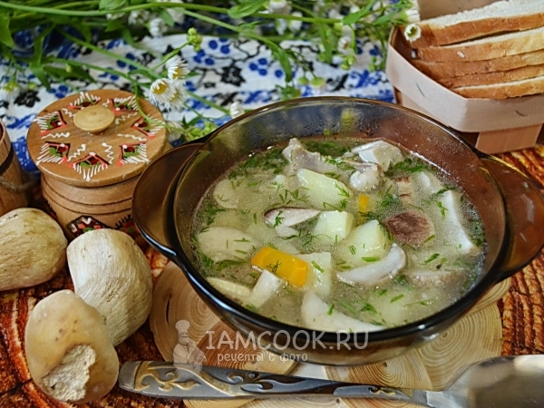 Суп из свежих белых грибов, рецепт с фото
