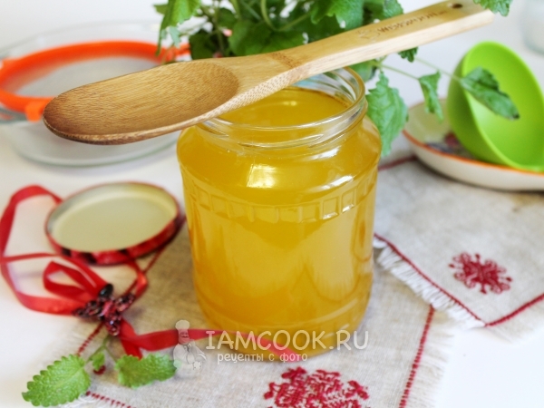 Топленый гусиный жир, рецепт с фото