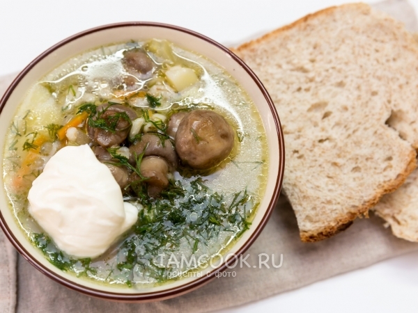 Суп с шампиньонами и перловкой, рецепт с фото