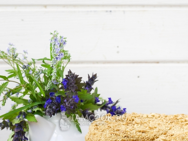 Торт «Медовик» со сгущенкой, рецепт с фото