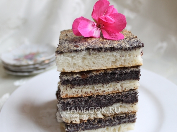 Тюрингский маковый пирог с изюмом, рецепт с фото