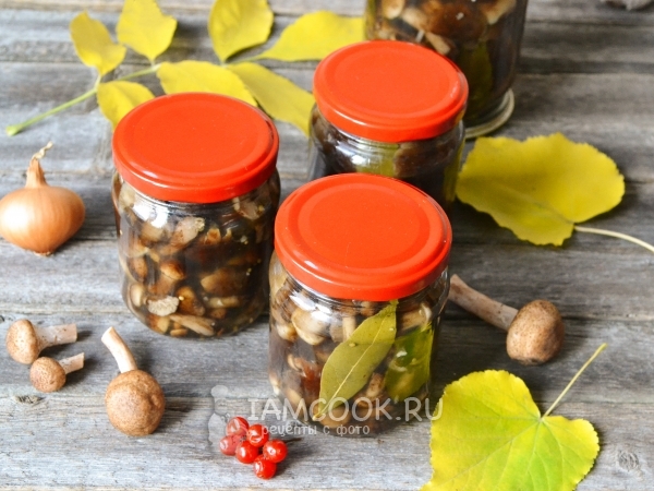 Маринованные опята в банках на зиму , рецепт с фото