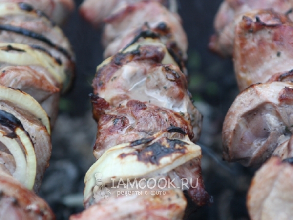 Шашлык из индейки, рецепт с фото