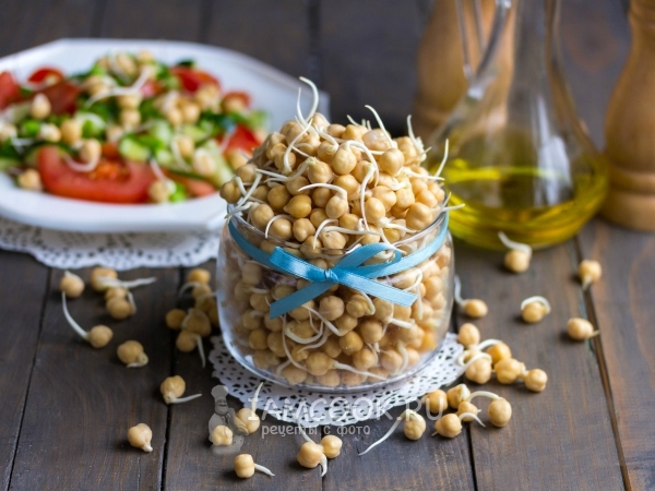 Проращивание нута, рецепт с фото