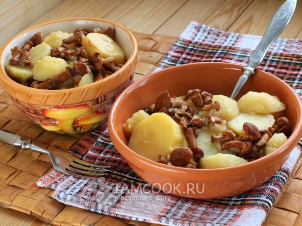 Лисички с картошкой в мультиварке, рецепт с фото